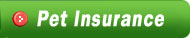 Pet Insurance