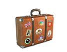 Travel Insurance