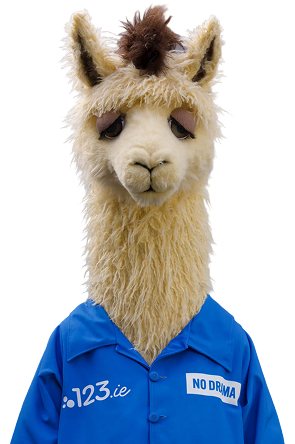 123.ie llama mascot